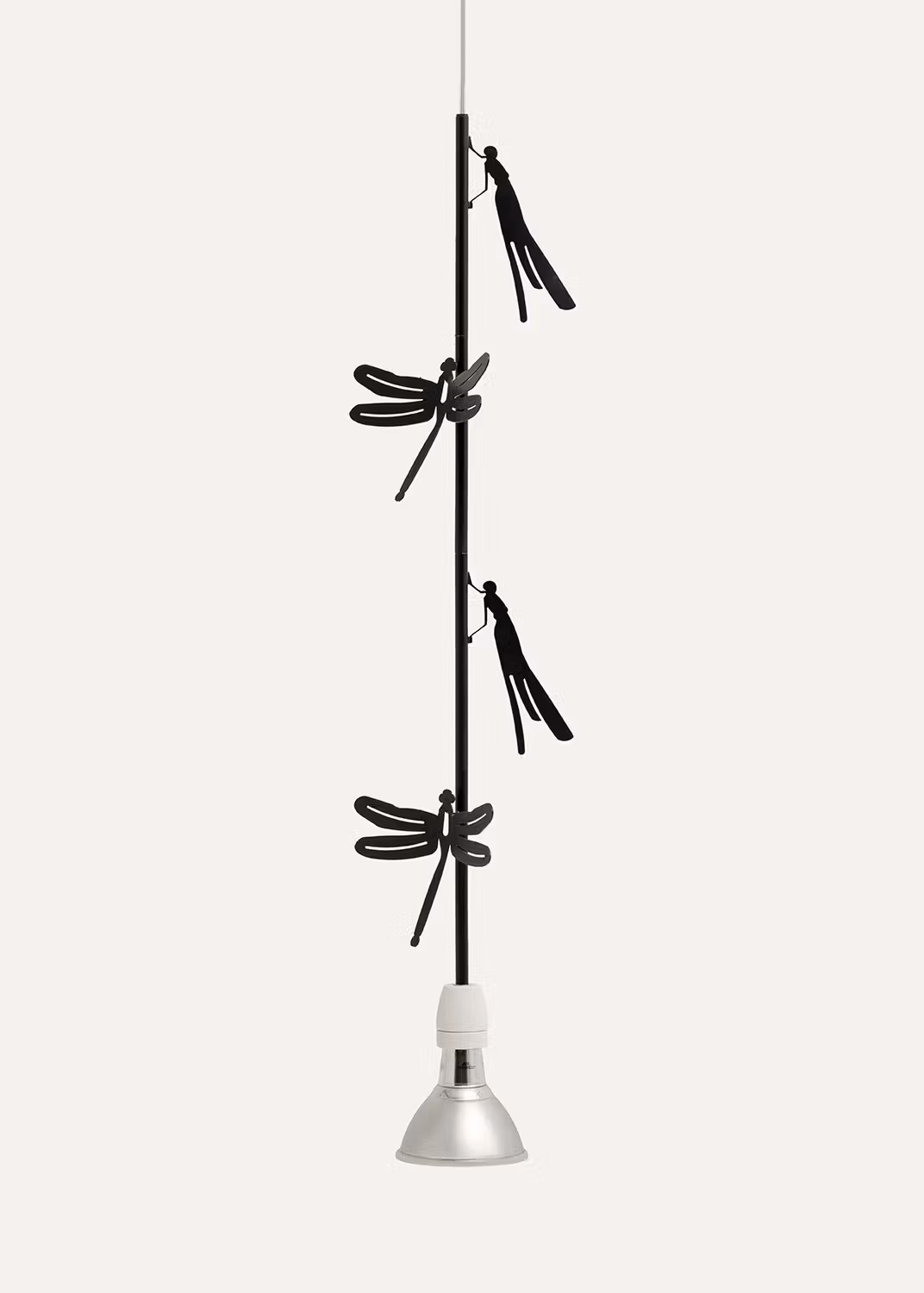 Flora e Fauna - Dragonfly