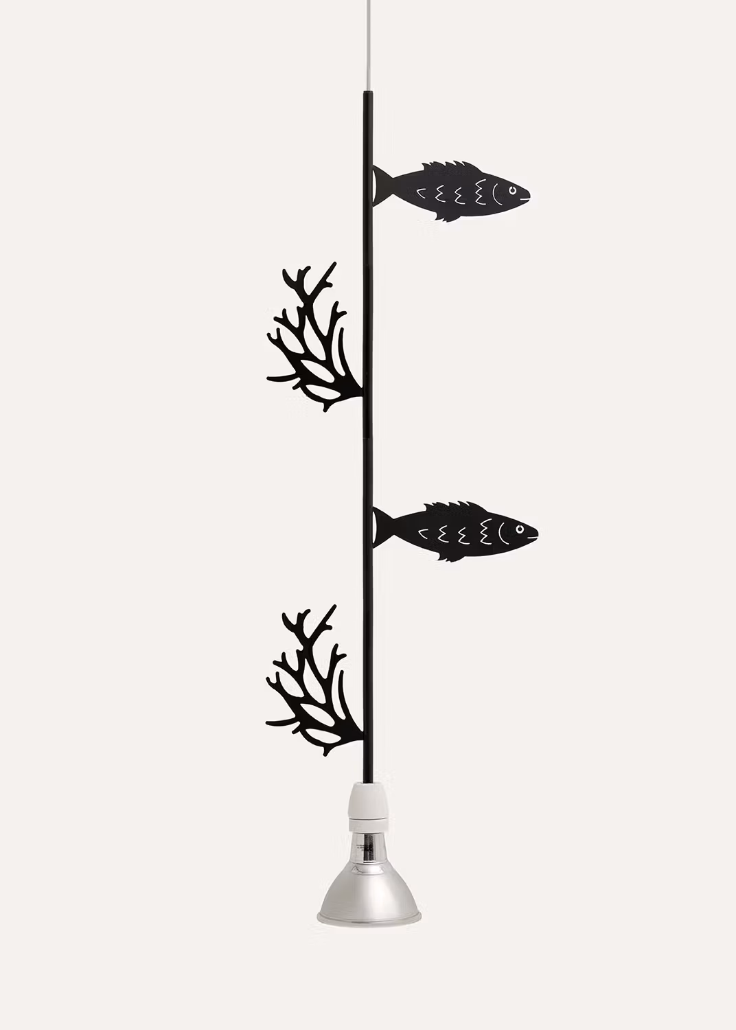 Flora e Fauna - Fish