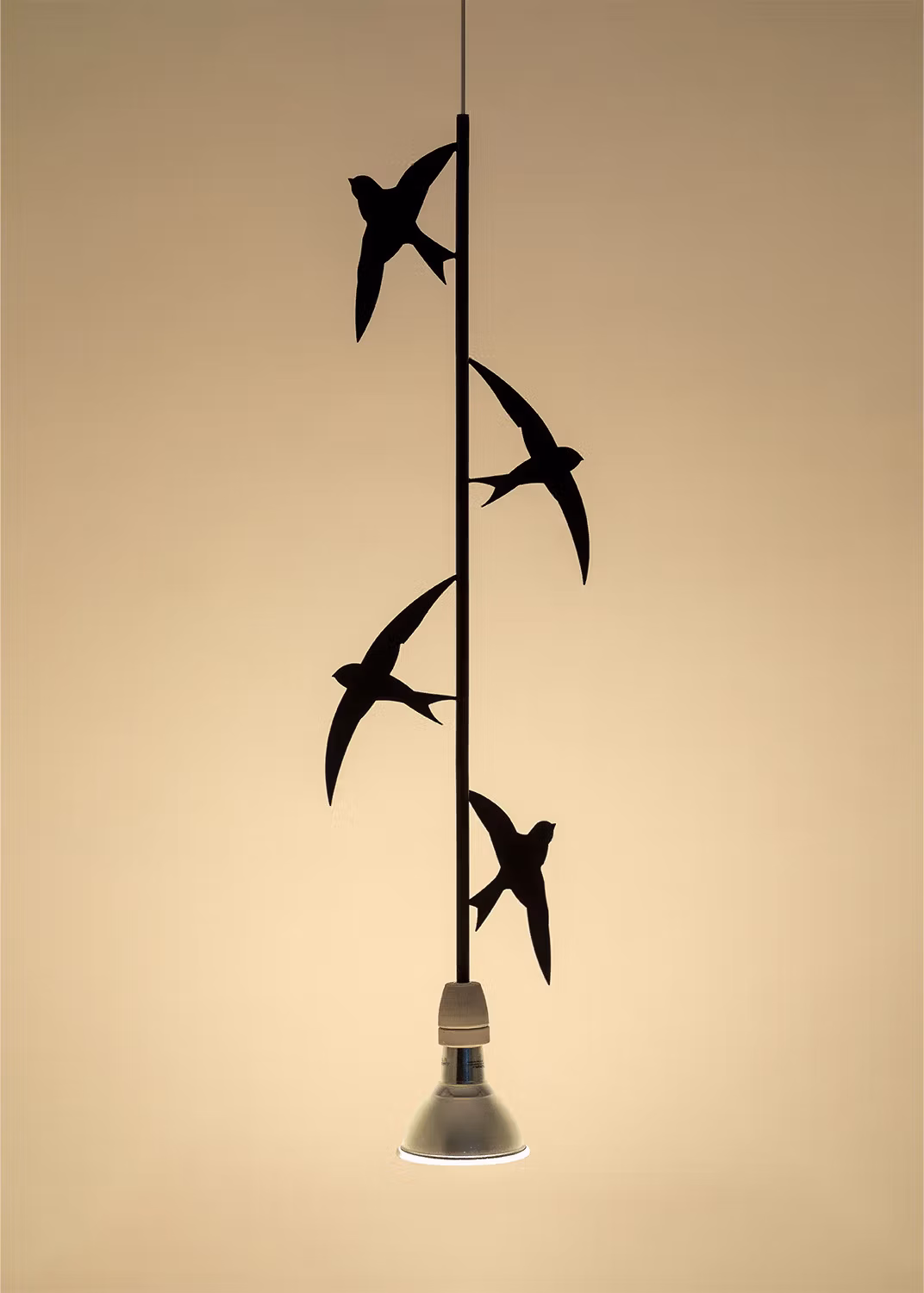 Flora e Fauna - Swallows