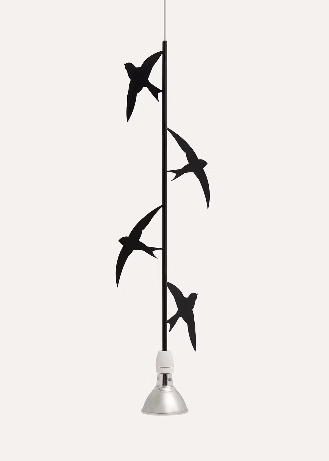 Flora e Fauna - Swallows