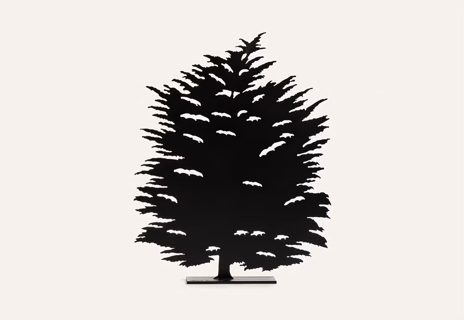 Bosco - Fagus