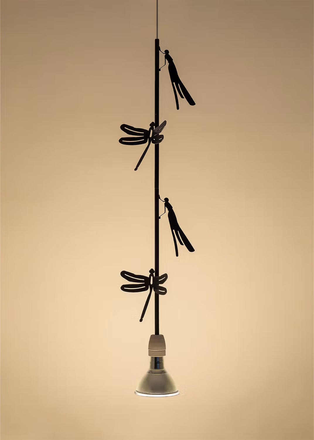 Flora e Fauna - Dragonfly
